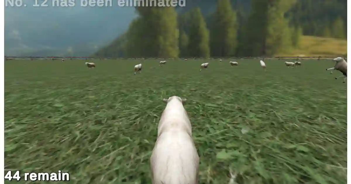 Play Crazy Cattle 3D